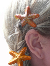 hair clips